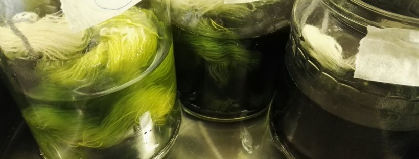 kansallispuku, karstavillalanka, värjäysapuraha, värjääminen