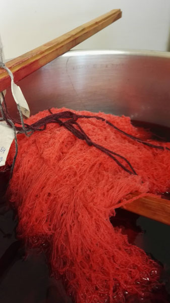 Kudelanka värjäytymässä.