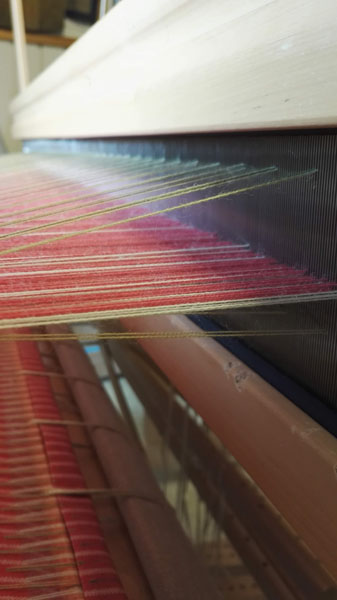 Vihreitä nastalankoja.